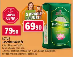 Terno Lotus jasmínová rýže nabídka