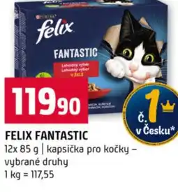 Terno Felix fantastic nabídka