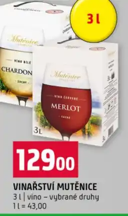 Terno Vinařství mutěnice nabídka