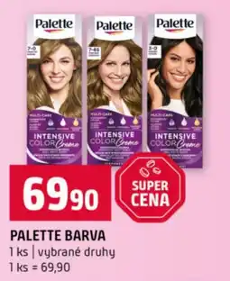 Terno Palette barva nabídka