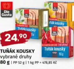 Terno Tuňák kousky nabídka