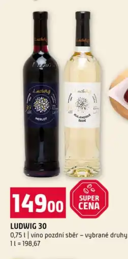 Terno Ludwig 30 nabídka