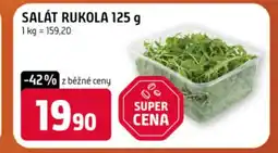 Terno Salát rukola nabídka