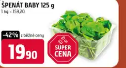 Terno Špenát baby nabídka