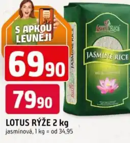 Trefa Lotus rýže nabídka