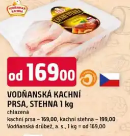 Trefa Vodňanská kachní prsa, stehna nabídka