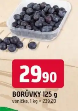 Trefa Borůvky nabídka