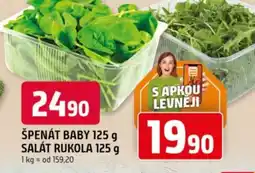 Trefa Špenát baby, Salát rukola nabídka