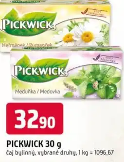 Trefa Pickwick čaj bylinný nabídka