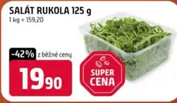 Trefa Salát rukola nabídka