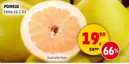 Penny Market Pomelo nabídka