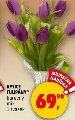 Penny Market Kytice tulipány nabídka