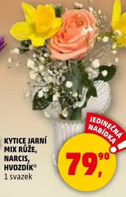 Penny Market Kytice jarní mix růže, narcis, hvozdík nabídka