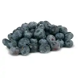 Flop borůvky nabídka