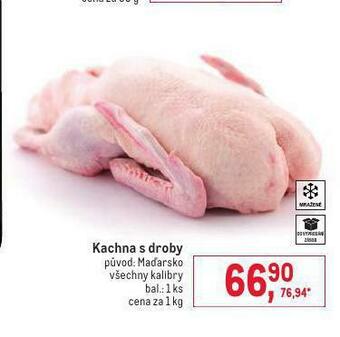 Makro Kachna s droby nabídka