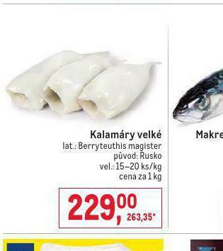 Makro Kalamáry velké nabídka