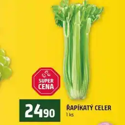 Terno ŘAPÍKATÝ CELER 1 ks nabídka