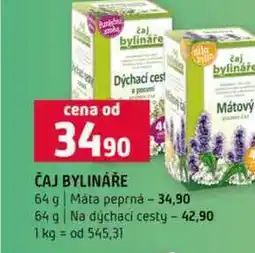 Terno ČAJ BYLINÁŘE Máta peprná 64 g Na dýchací cesty nabídka