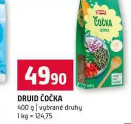 Terno DRUID ČOČKA 400 g vybrané druhy nabídka
