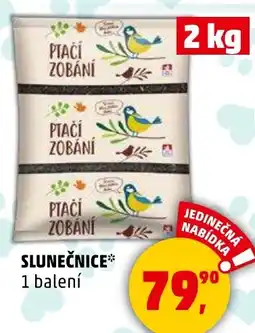 Penny Market Slunečnice nabídka