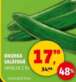 Penny Market Okurka salátová nabídka