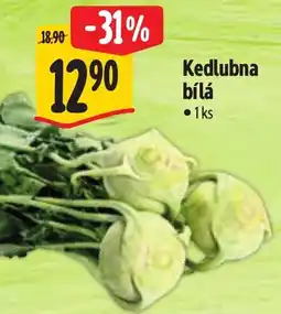 Albert Kedlubna bílá nabídka