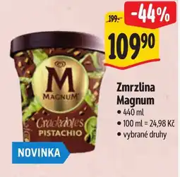 Albert Zmrzlina Magnum nabídka
