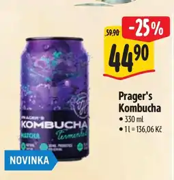 Albert Prager's Kombucha nabídka