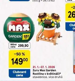 Tesco Zuru max garden rosrlina v květináči nabídka