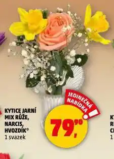 Penny Market Kytice jarní mix nabídka