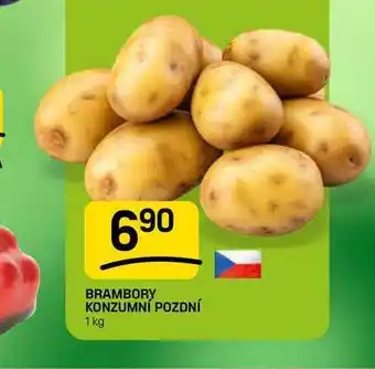 BRAMBORY KONZUMNI POZDNÍ