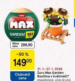 Tesco Zuru Max Garden Rostlina v květináči, stavebnice, více druhů nabídka
