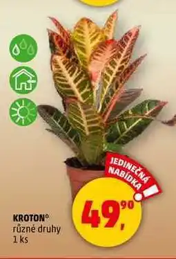 Penny Market KROTON, 1 ks nabídka