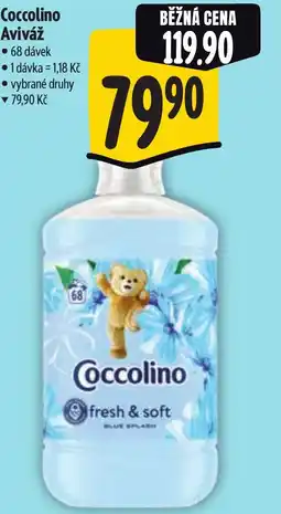 Albert Coccolino Aviváž nabídka
