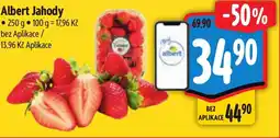 Albert Albert Jahody nabídka