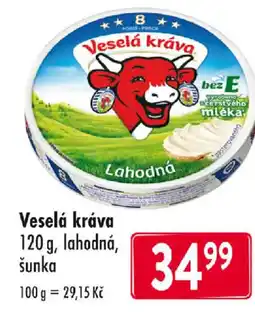 Qanto Veselá kráva nabídka