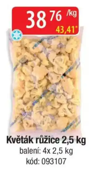Qanto Květák růžice nabídka