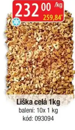 Qanto Liška celá nabídka