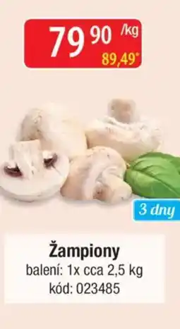 Qanto Žampiony nabídka