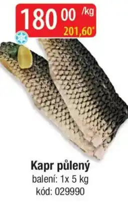 Qanto Kapr půlený nabídka