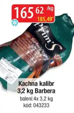 Qanto Kachna kalibr Barbera nabídka