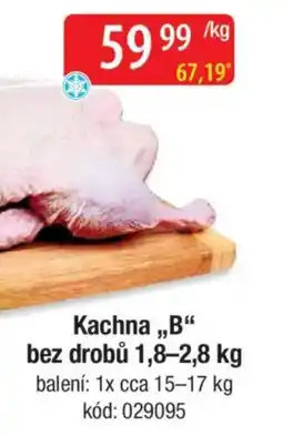 Qanto Kachna,,B" bez drobů nabídka