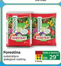 Tamda Foods Forestina substrát pro pokojové rostliny nabídka
