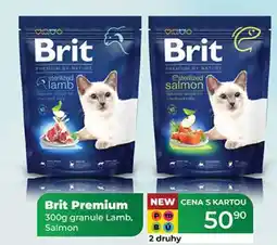 Tamda Foods Brit Premium 300g granule Lamb, Salmon nabídka