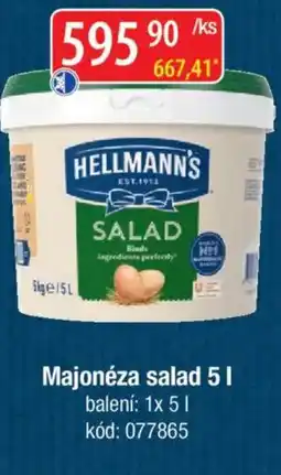 Qanto Hellmann's Majonéza salad nabídka