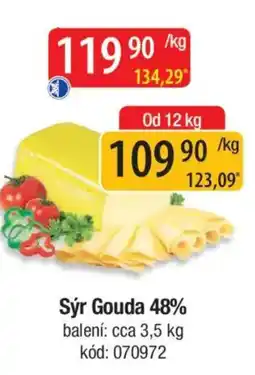 Qanto Sýr Gouda 48% nabídka