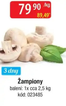 Qanto Žampiony nabídka