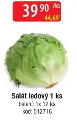 Qanto Salát ledový nabídka