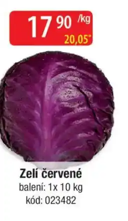 Qanto Zelí červené nabídka