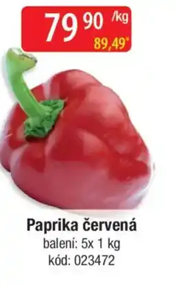 Qanto Paprika červená nabídka